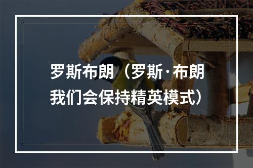 罗斯布朗（罗斯·布朗我们会保持精英模式）