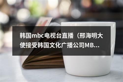 韩国mbc电视台直播（邢海明大使接受韩国文化广播公司MBC直播节目采访）