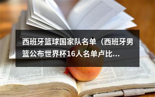 西班牙篮球国家队名单（西班牙男篮公布世界杯16人名单卢比奥埃尔南戈麦斯兄弟在列）