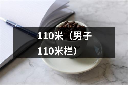 110米（男子110米栏）