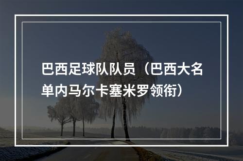 巴西足球队队员（巴西大名单内马尔卡塞米罗领衔）