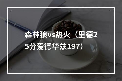 森林狼vs热火（里德25分爱德华兹197）