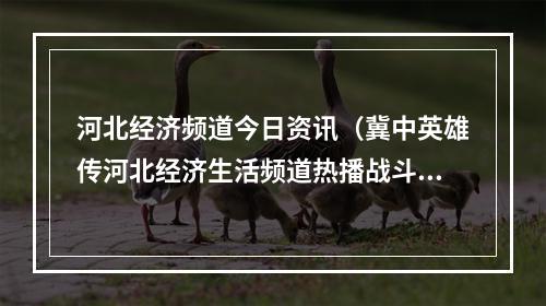 河北经济频道今日资讯（冀中英雄传河北经济生活频道热播战斗英雄的抗战传奇）