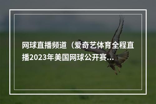 网球直播频道（爱奇艺体育全程直播2023年美国网球公开赛）