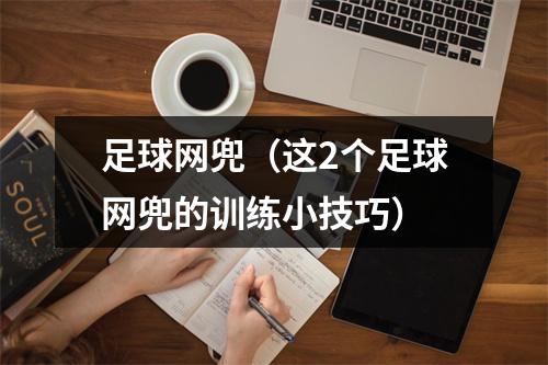足球网兜（这2个足球网兜的训练小技巧）