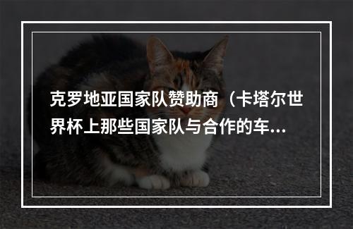 克罗地亚国家队赞助商（卡塔尔世界杯上那些国家队与合作的车企）