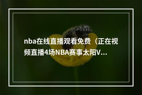nba在线直播观看免费（正在视频直播4场NBA赛事太阳VS快船）