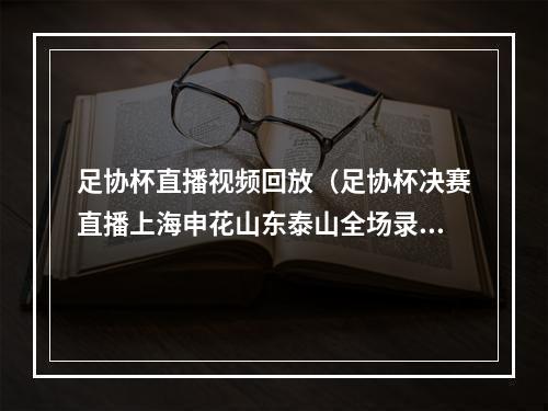 足协杯直播视频回放（足协杯决赛直播上海申花山东泰山全场录像回放中文高清视频回放）