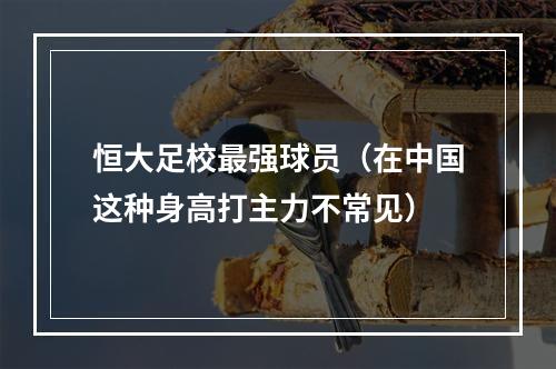 恒大足校最强球员（在中国这种身高打主力不常见）