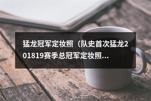 猛龙冠军定妆照（队史首次猛龙201819赛季总冠军定妆照）