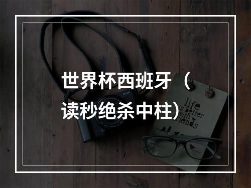 世界杯西班牙（读秒绝杀中柱）