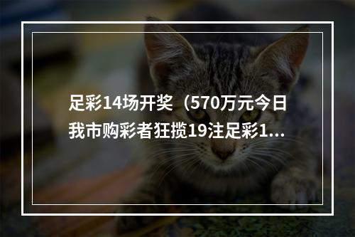 足彩14场开奖（570万元今日我市购彩者狂揽19注足彩14场头奖）