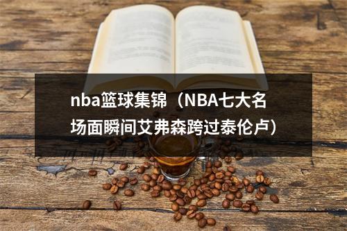 nba篮球集锦（NBA七大名场面瞬间艾弗森跨过泰伦卢）
