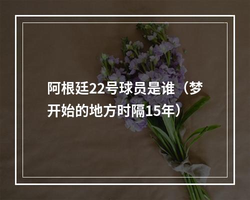 阿根廷22号球员是谁（梦开始的地方时隔15年）