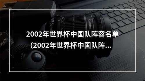 2002年世界杯中国队阵容名单（2002年世界杯中国队阵容一代人的回忆）