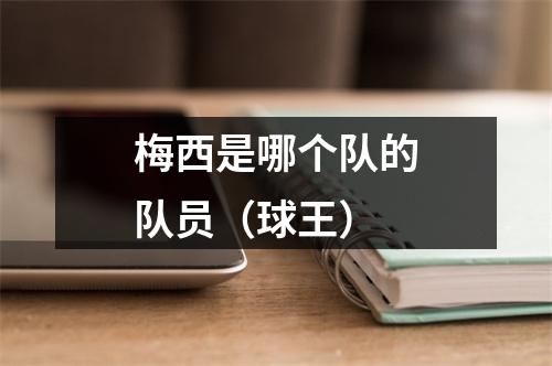 梅西是哪个队的队员（球王）