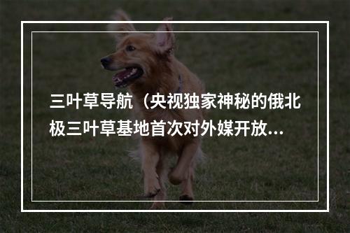 三叶草导航（央视独家神秘的俄北极三叶草基地首次对外媒开放）