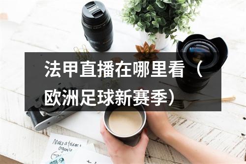 法甲直播在哪里看（欧洲足球新赛季）