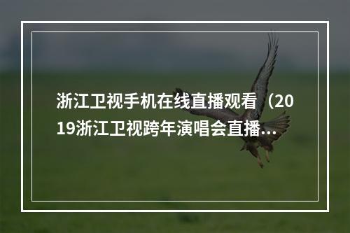 浙江卫视手机在线直播观看（2019浙江卫视跨年演唱会直播地址 在线观看链接）
