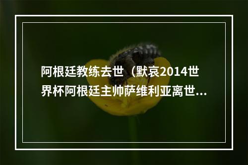 阿根廷教练去世（默哀2014世界杯阿根廷主帅萨维利亚离世 享年66岁）