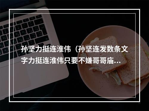 孙坚力挺连淮伟（孙坚连发数条文字力挺连淮伟只要不嫌哥哥庙小）