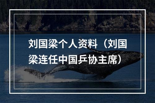刘国梁个人资料（刘国梁连任中国乒协主席）