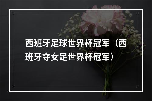 西班牙足球世界杯冠军（西班牙夺女足世界杯冠军）