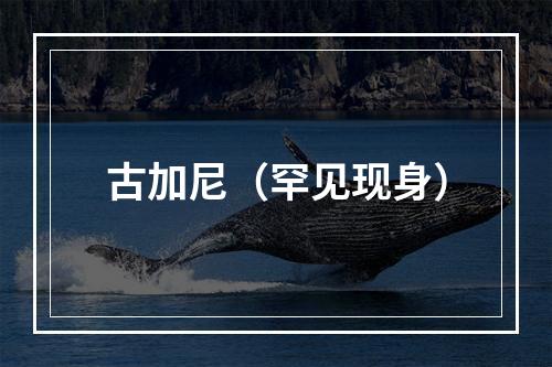 古加尼（罕见现身）
