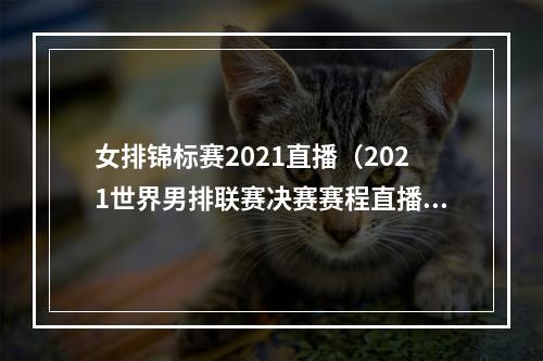 女排锦标赛2021直播（2021世界男排联赛决赛赛程直播安排）
