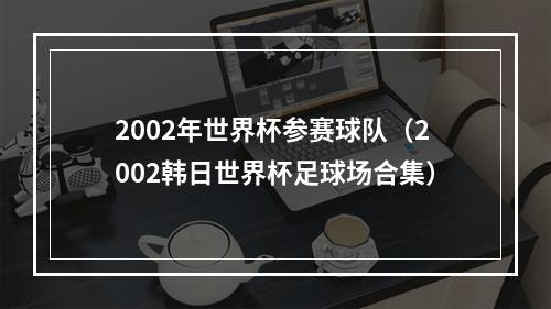 2002年世界杯参赛球队（2002韩日世界杯足球场合集）