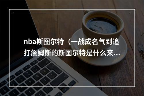 nba斯图尔特（一战成名气到追打詹姆斯的斯图尔特是什么来头）