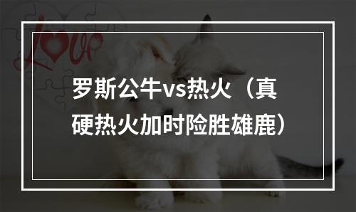 罗斯公牛vs热火（真硬热火加时险胜雄鹿）