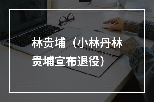 林贵埔（小林丹林贵埔宣布退役）