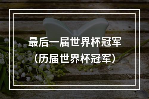 最后一届世界杯冠军（历届世界杯冠军）